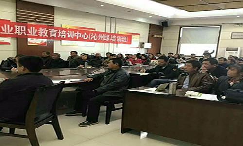 大棚蔬菜种植技术