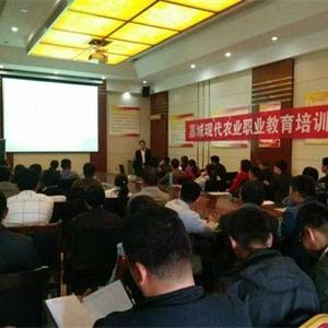 蔬菜种植技术培训栽培反季节香菜